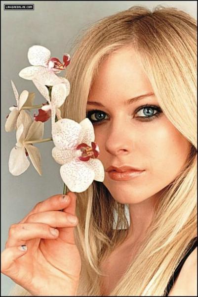AvRiL lAvIgNe